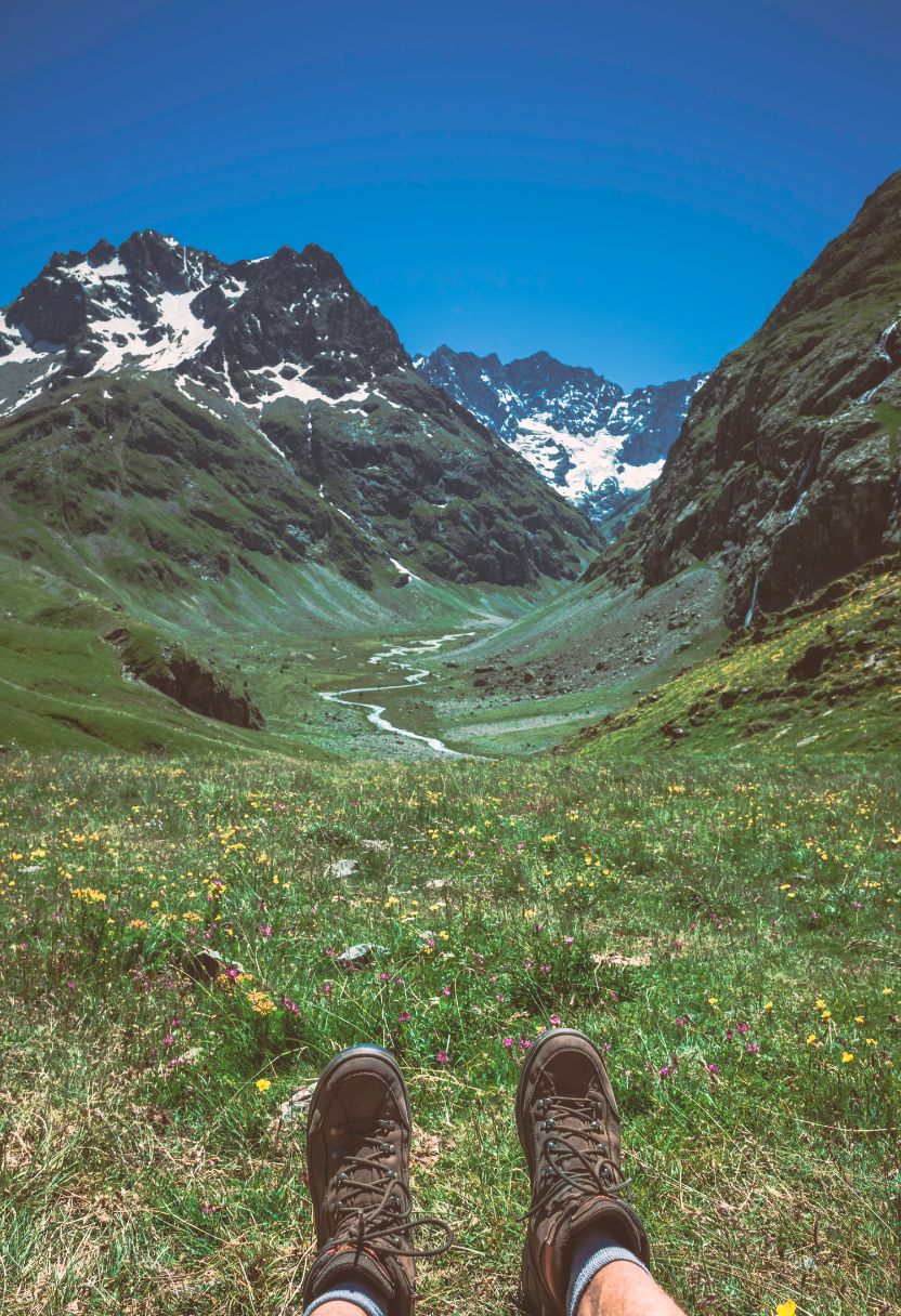 Seasonal Variations and Their Impact on Wildlife Visibility